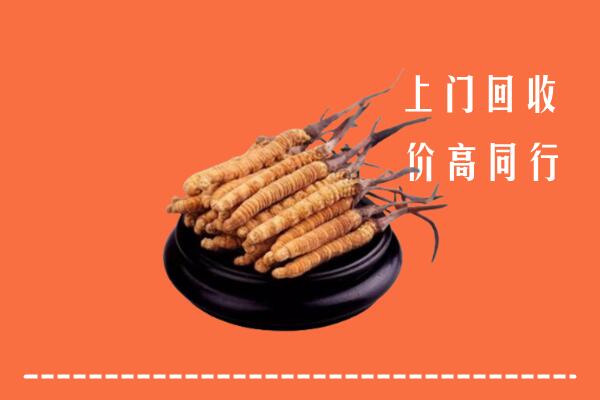 高价求购：肥东县回收散虫草
