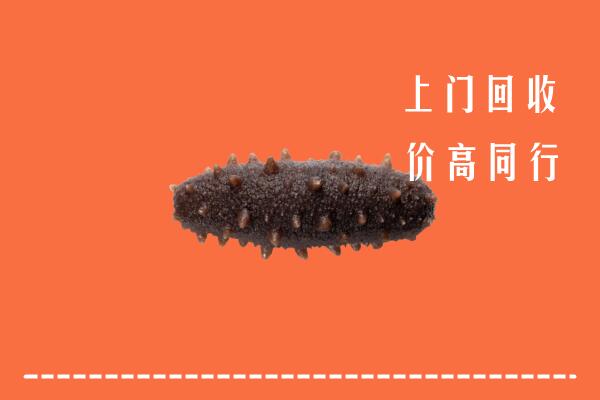 高价求购：肥东县回收海参