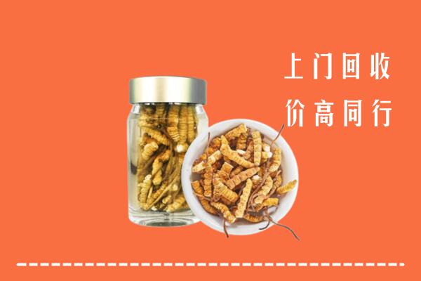 肥东县高价回收冬虫夏草